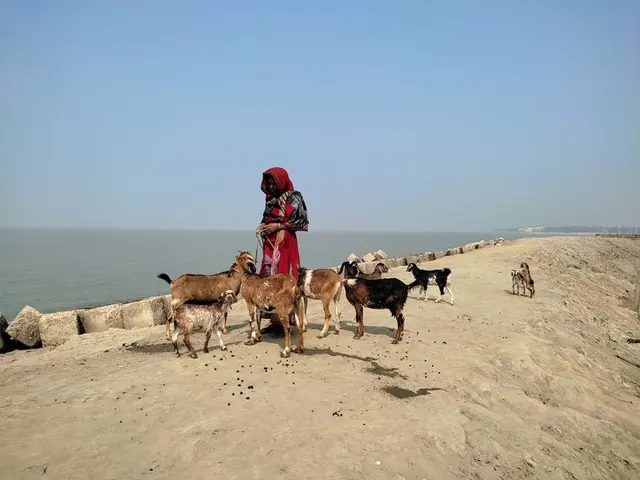 Women empowerment project initiative